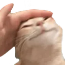 catpet