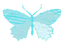 butterfly_blue