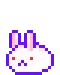 bunny bunny