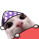 plinkWokege plinkWokege