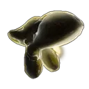 goldfish goldfish