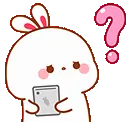 bunny_what