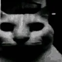 uncannycat uncannycat