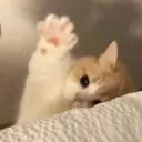 hi_silly_person