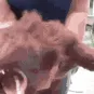Feral