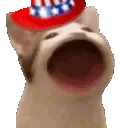 AMPopcatAmerican