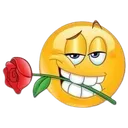 yellowrizz yellowrizz
