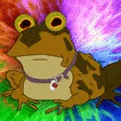 anim_hypno