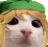 cat_link Discord Emoji