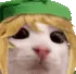 cat_link