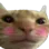 catblush