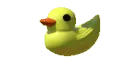 Duck Duck