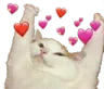 heart_cat1