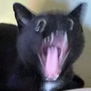 AUHHHHHHG