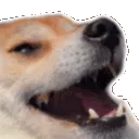 ds_kekOwO