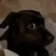 uhhh uhhh