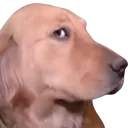 LaylaSideye LaylaSideye