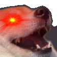 gl_dogtrigger