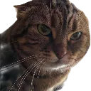 ChanchosRage