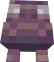 nexus