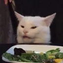 catdinnertable
