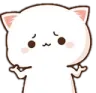 catshrug catshrug