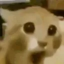 shocked