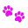sm_pinkpawprints