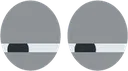 CGSusEyes