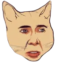 cagecat