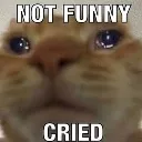 notfunny Discord Emoji