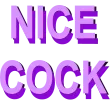 NiceCock