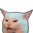 CattoSalad