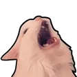 CattoYell