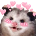opossum