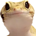 Fren