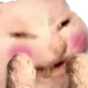 catblush