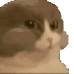 monch