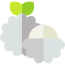 lichiplateado