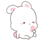 a_bunny_cute_wait_for_you_online