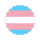 transgender transgender
