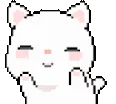 fj_cat_happy2 fj_cat_happy2
