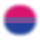 bisexual
