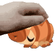 _Pet_WaterBear Discord emoji