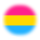 pansexual pansexual