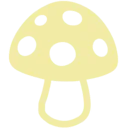 fungi