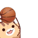 nko_bball_basketball