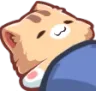 Ameow_cozysleep