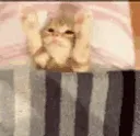 tuck