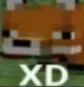 lcn_Fox_XD lcn_Fox_XD
